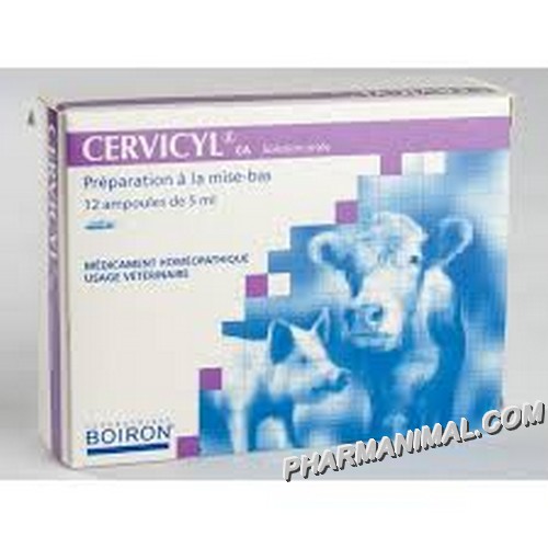 CERVICYL GA   b/12*5 ml 	amp buv